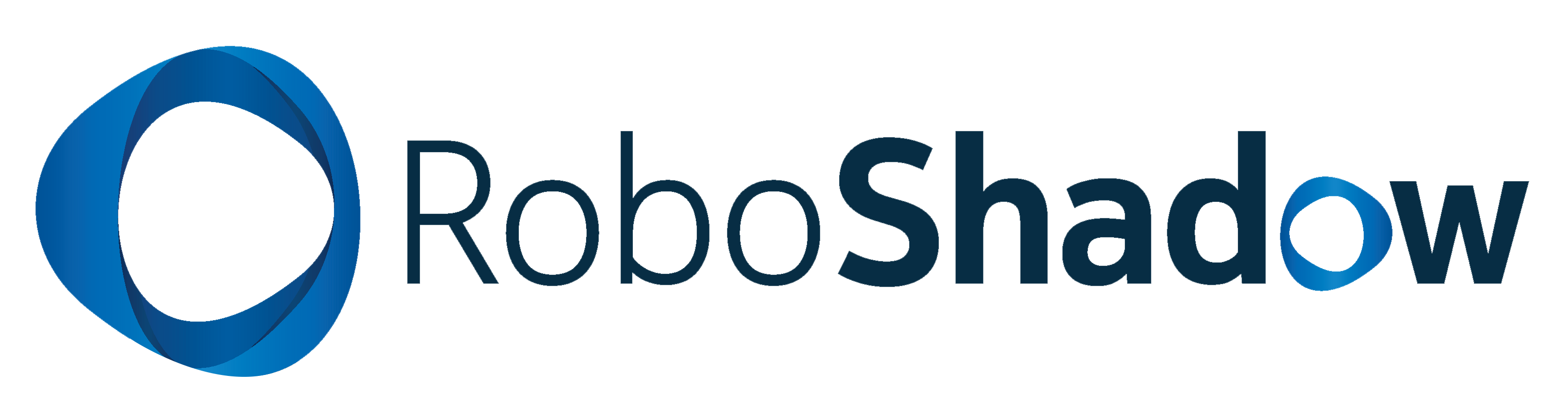 Robologo_MasterTransarent_dark-2