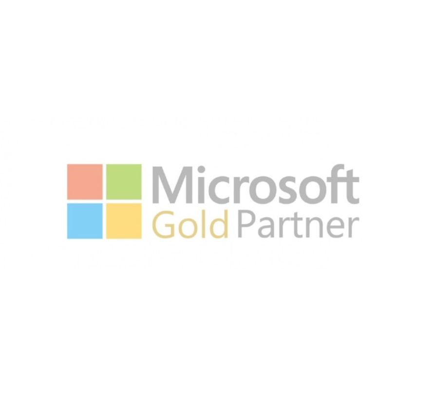 Microsoft Gold Partner - CIO Support Page