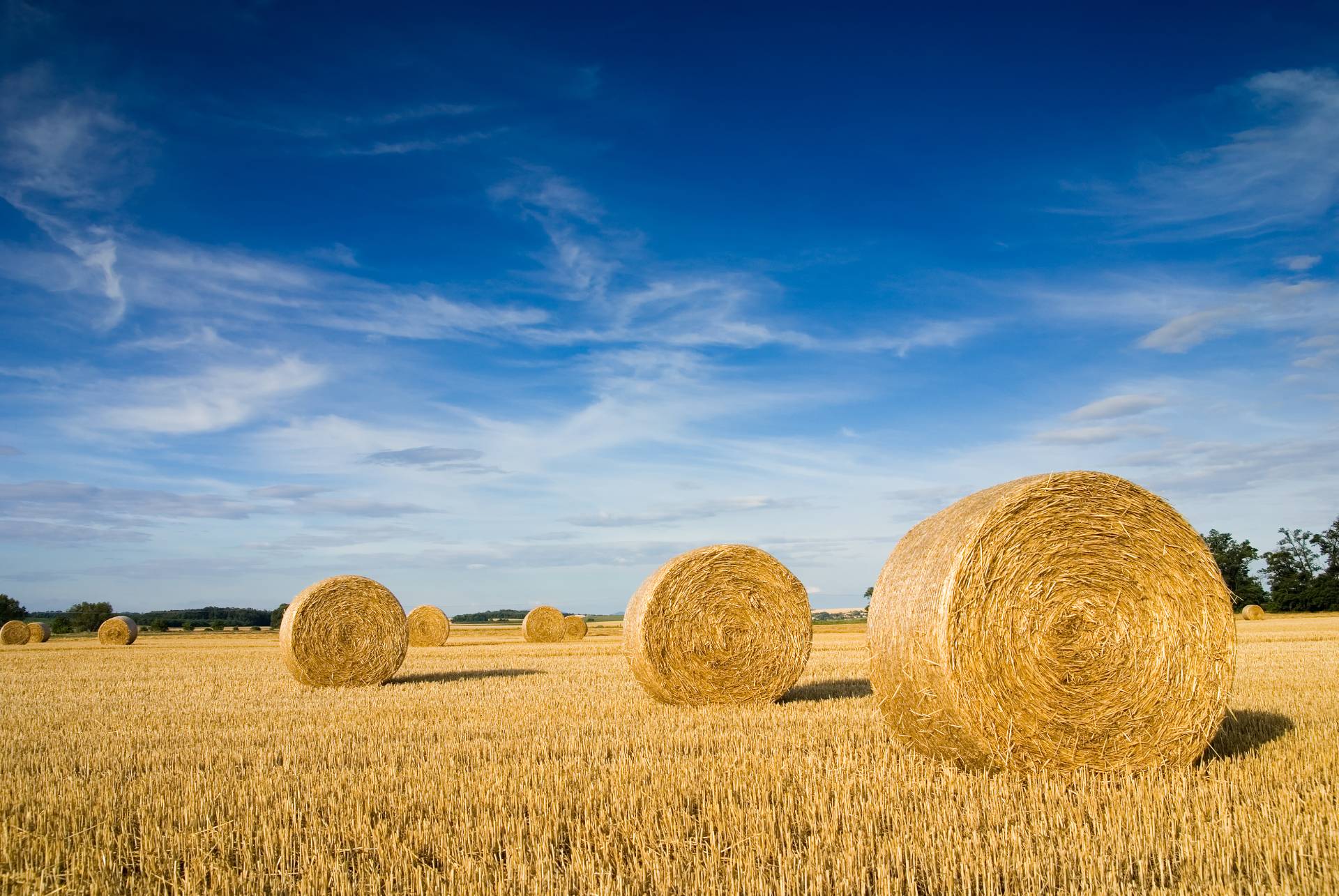 iStock-93352961 Haybales